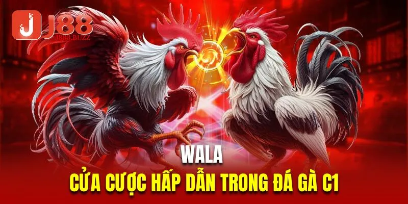 Wala là cửa cược hấp dẫn trong đá gà C1