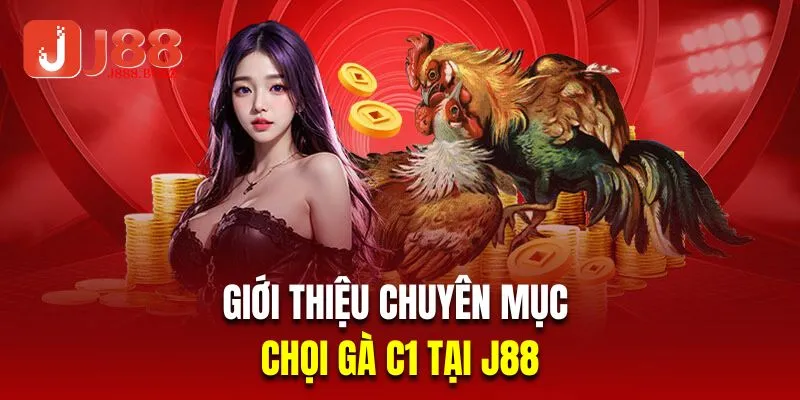 Giới thiệu về chuyên mục chọi gà C1 tại J88