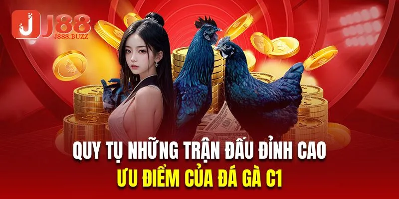 Quy tụ những trận đấu đỉnh cao là ưu điểm của đá gà C1